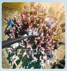 Карбоновый монопод Telesin 3 метра Carbon Fiber Selfie Stick (3.0) #7